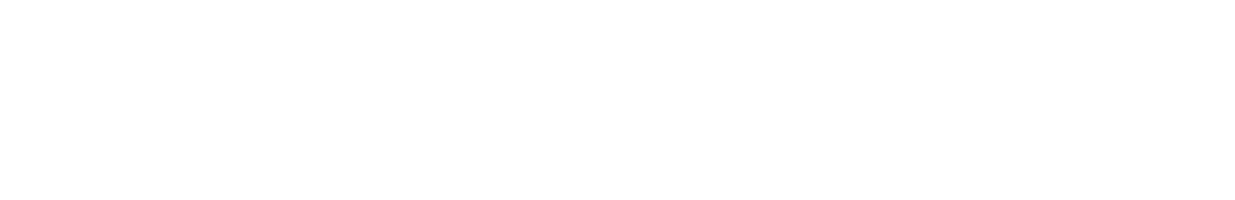 FlexChain
